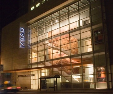 Image : Museum of the African Diaspora