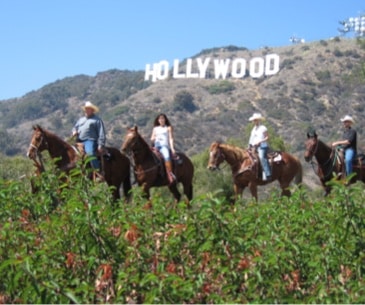 Image : Sunset Ranch