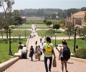 Image : UCLA