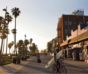 Image : Venice Beach