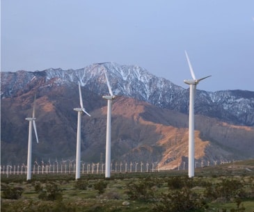 Image : Windmill Tours