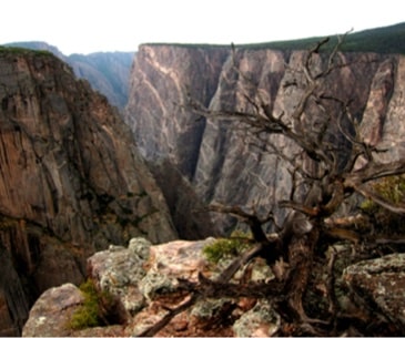 Image : Black Canyon of the Gunnison