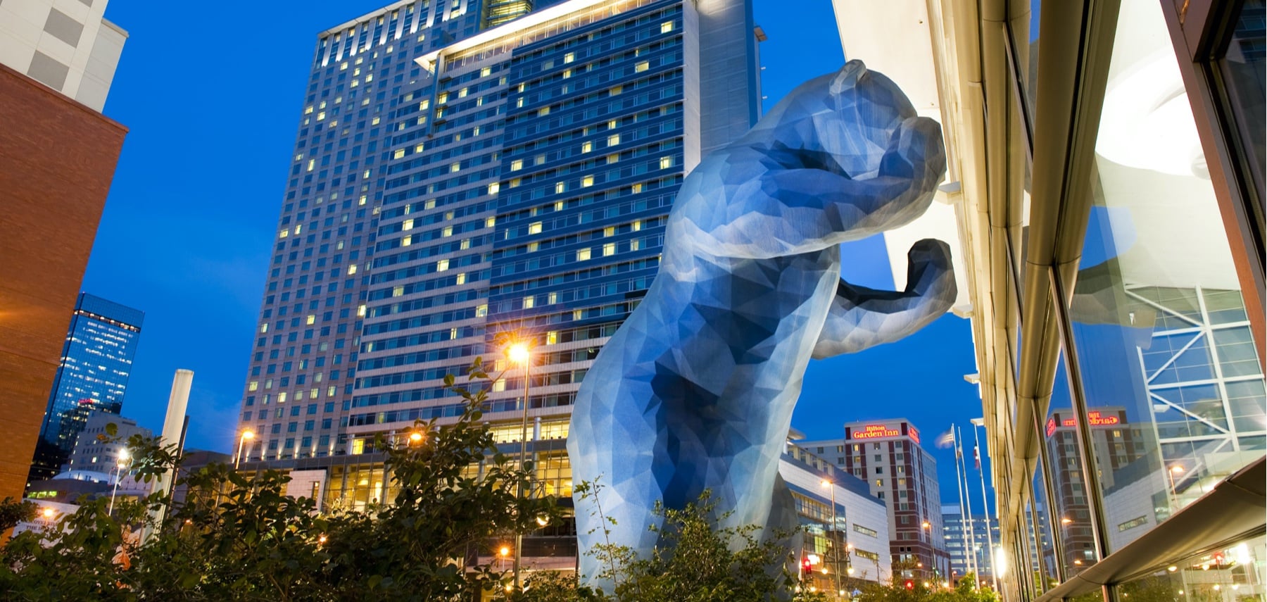 Colorado-Blue-Bear