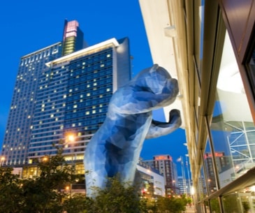 Image : Blue Bear