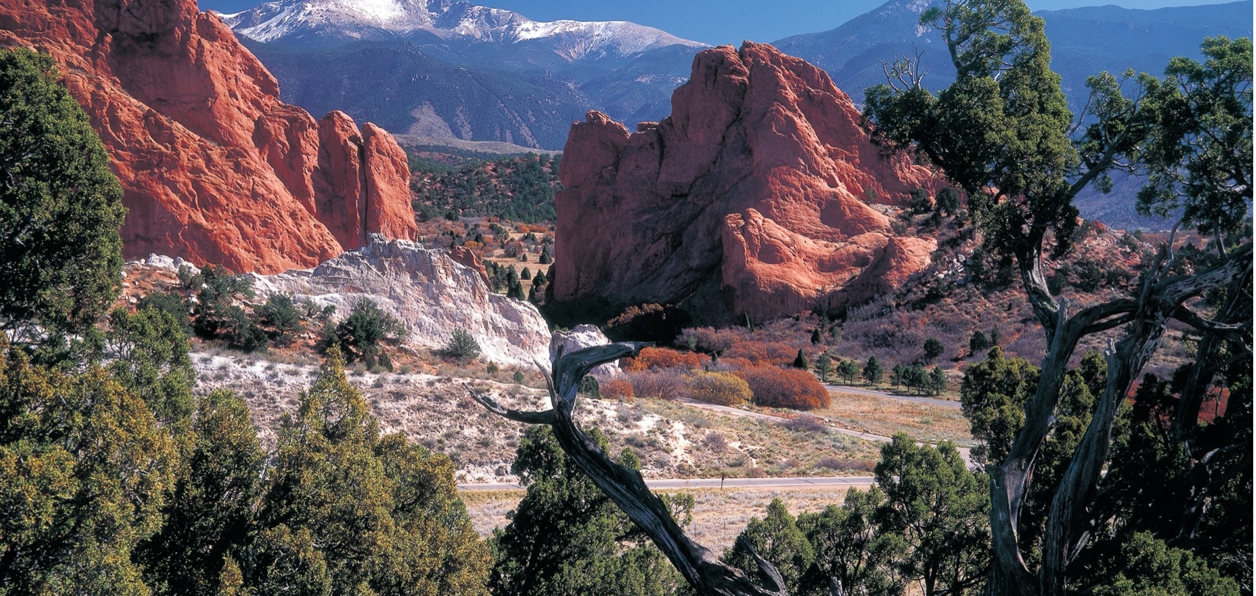 Colorado-Colorado-Springs