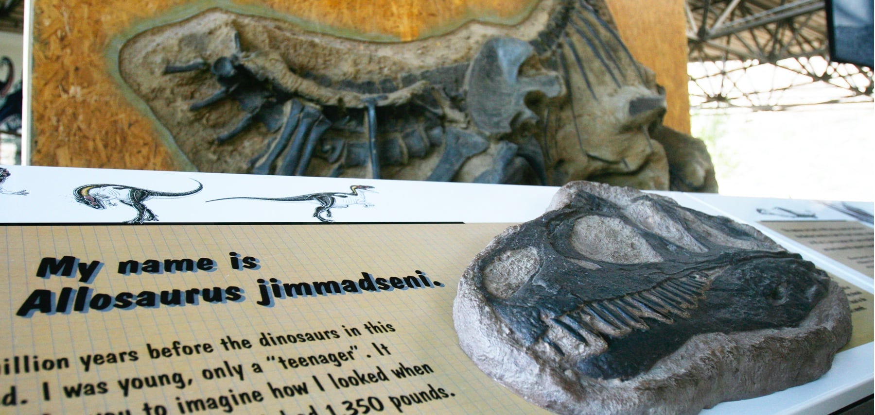 Fossils are the big draw at Dinosaur National Monument