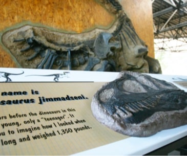 Image : Dinosaur National Monument
