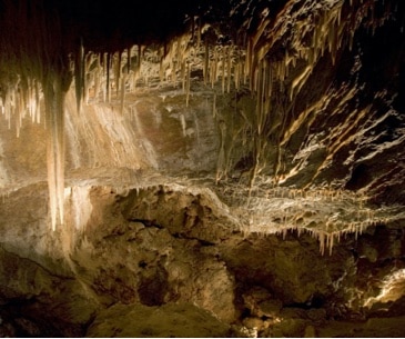 Image : Glenwood Caverns Adventure Park