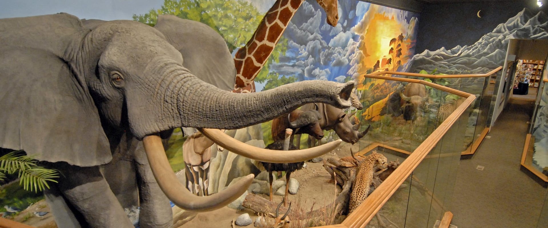 DacotahPrairieMuseumAberdeen00001-custom 2000 800