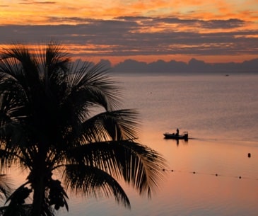 Image : Islamorada
