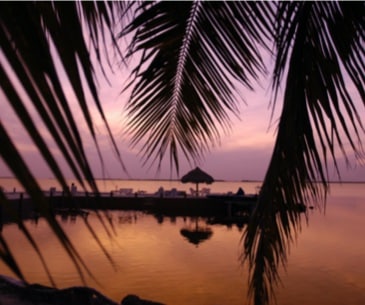 Image : Key Largo