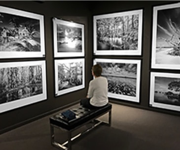Image : Clyde Butcher Gallery