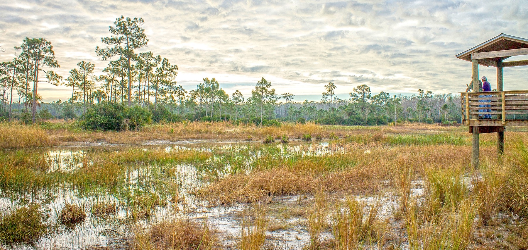 Floride-Big-Cypress-National-Preserve