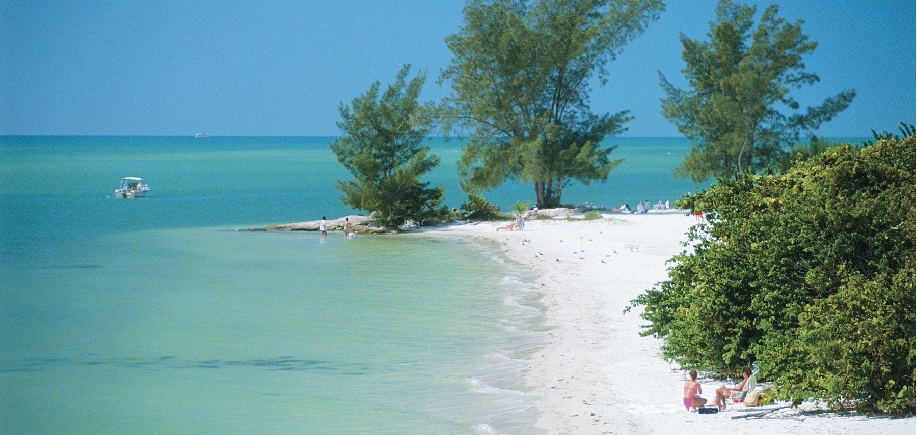 Estero shoreline