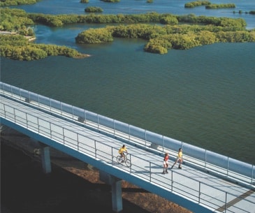 Image : Collier Seminole State Park