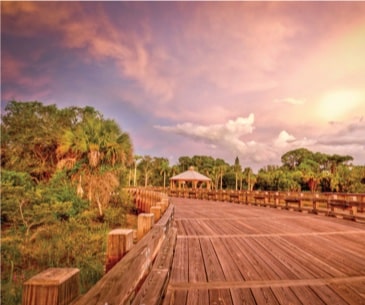 Image : Conservancy of Southwest Florida Nature Centre