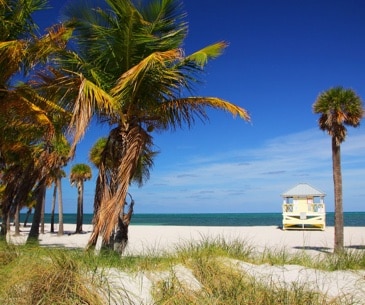 Image : Crandon Park