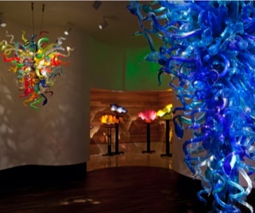 Image : Dale Chihuly Collection