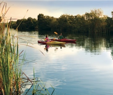 Image : Everglades City