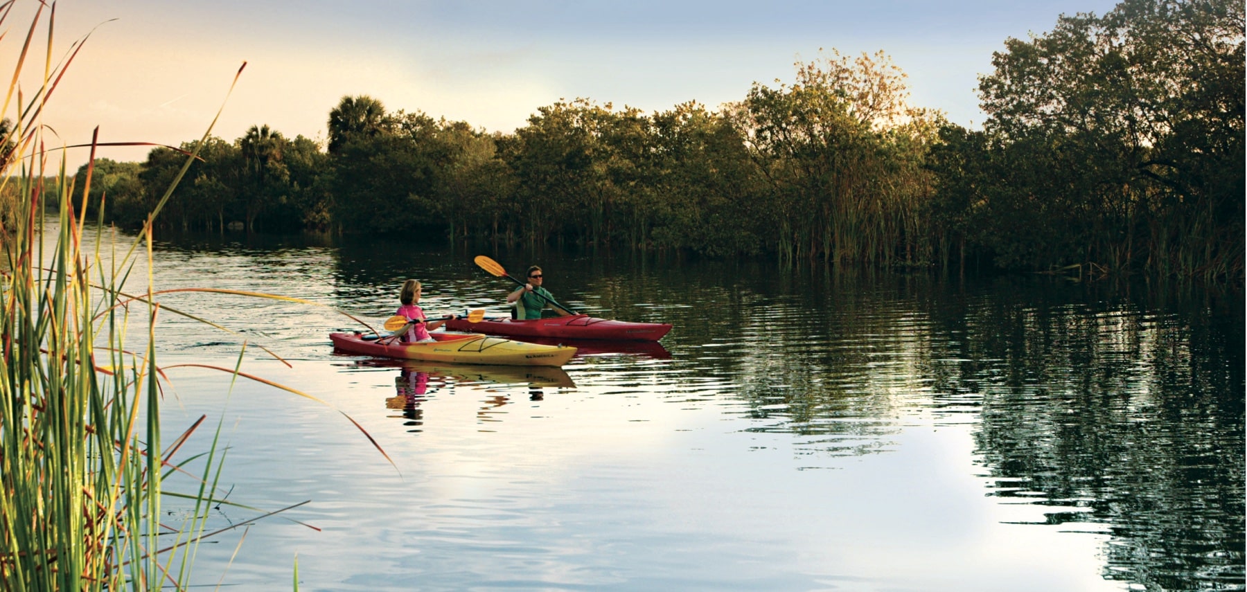 Kayak
