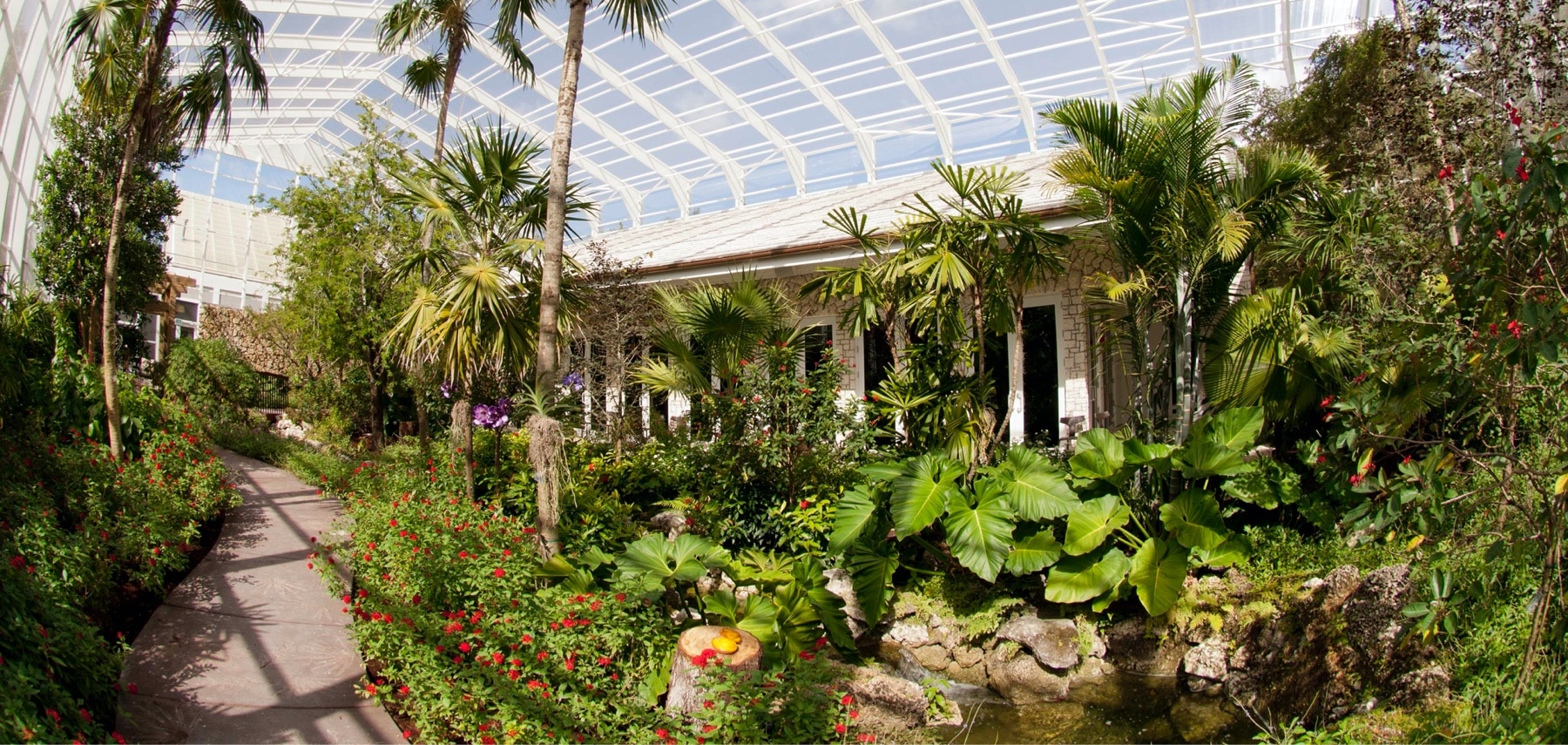 Floride-Fairchild-Tropical-Botanic-Garden