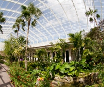 Image : Fairchild Tropical Botanic Garden