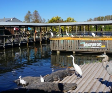 Image : Gatorland