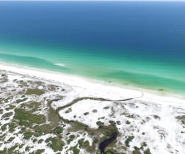 Image : Grayton Beach State Park