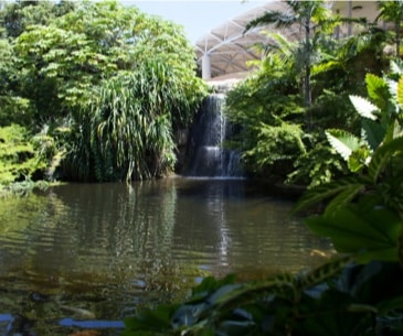 Image : Jungle Island
