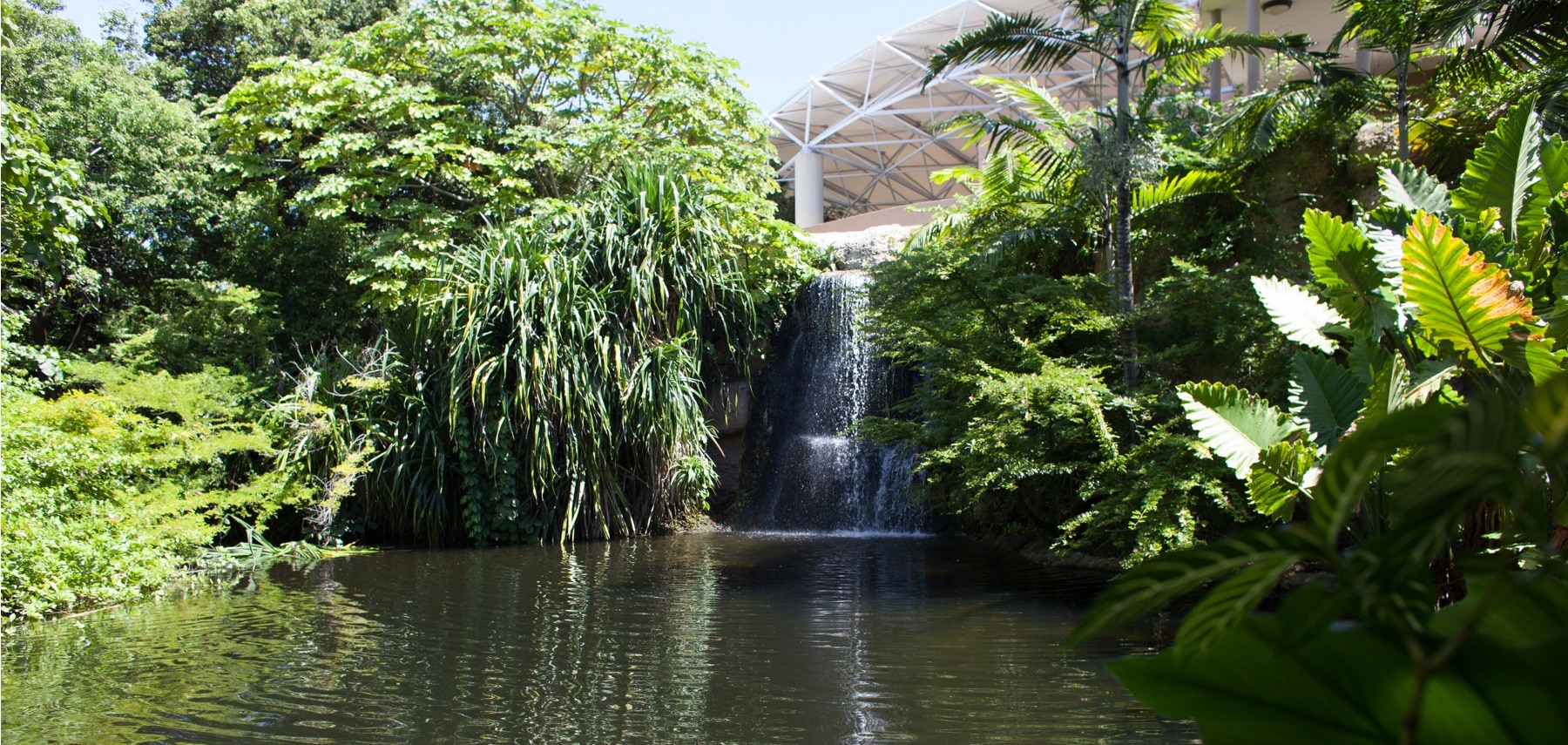 Floride-Jungle-Island-Miami
