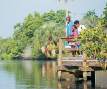 Image : Manatee Springs State Park