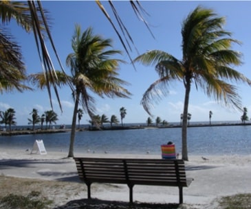 Image : Matheson Hammock Park