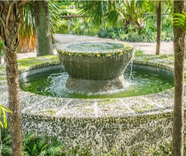 Image : Miami Beach Botanical Garden