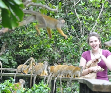 Image : Zoo Miami