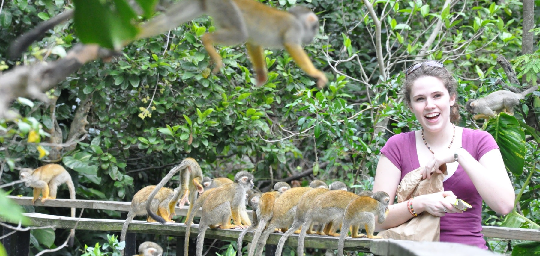Floride-Miami-Zoo