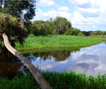 Image : Myakka River State Park