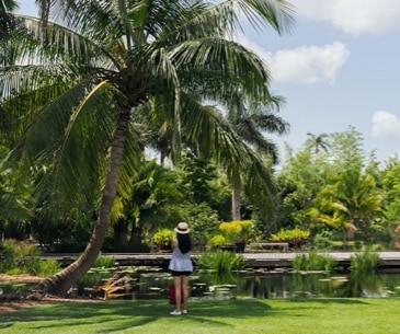 Image : Naples Botanical Garden