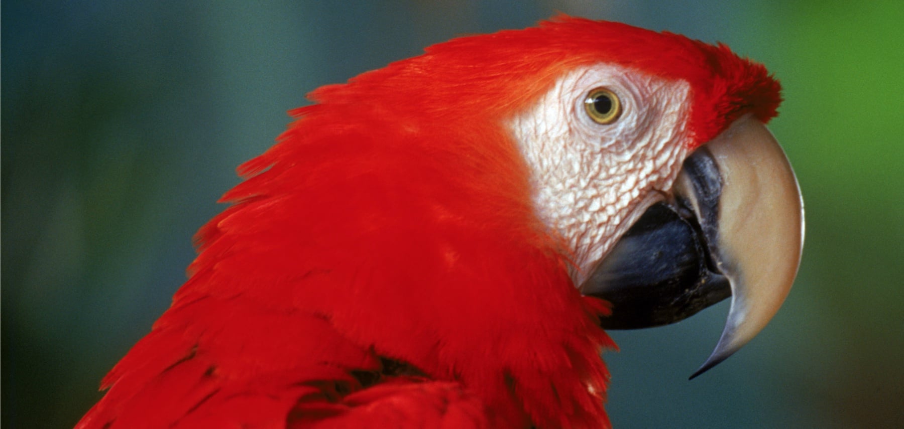 Floride-Naples-Zoo
