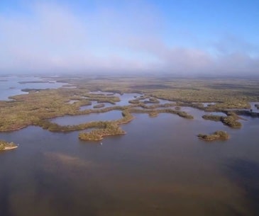 Image : Rookery Bay National Estuarine Research Reserve