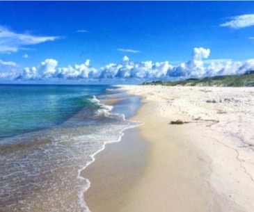 Image : St Joseph Peninsula Port St Joe