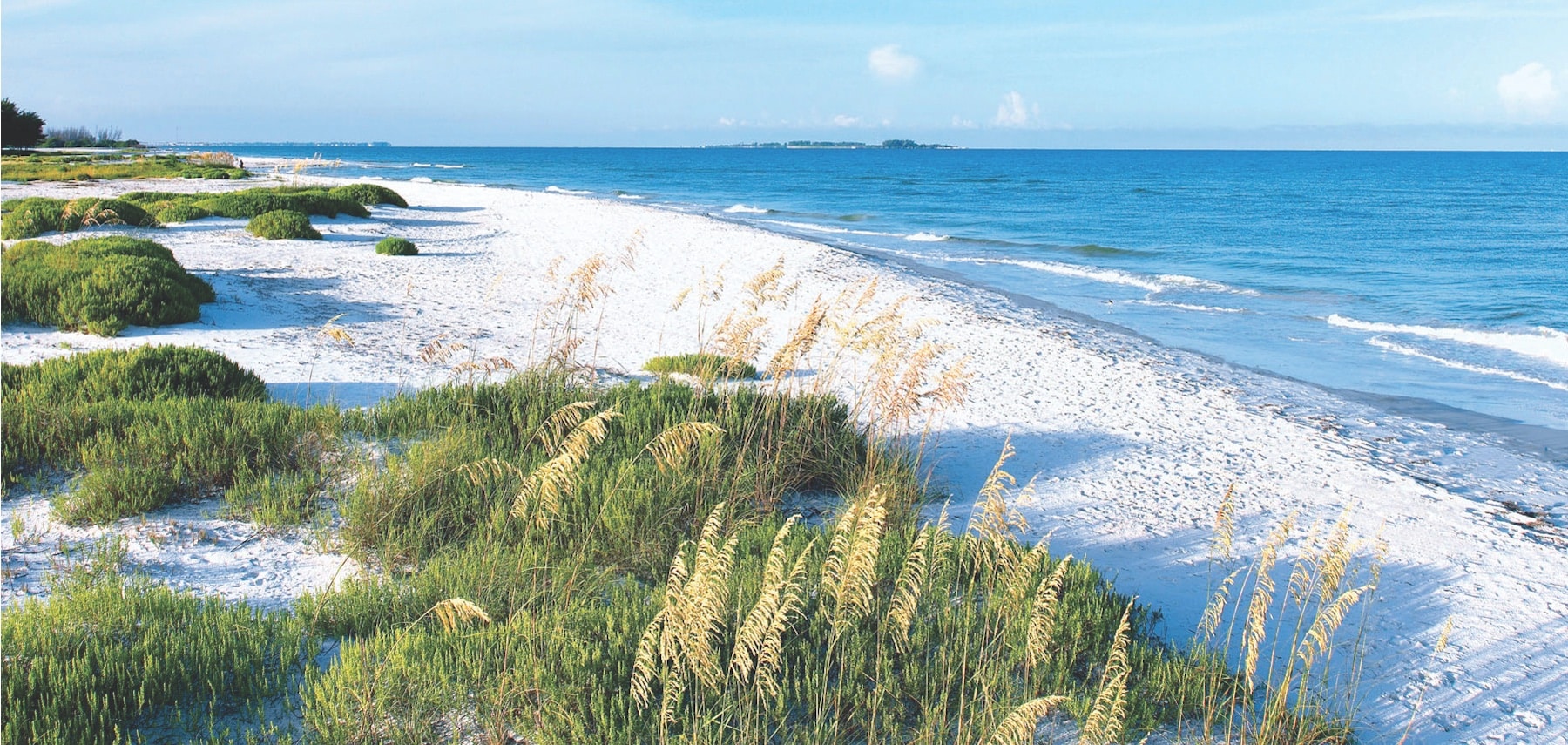 beach.FtDesoto4