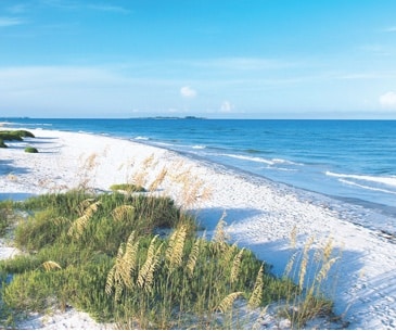 Image : St Petersburg / Clearwater
