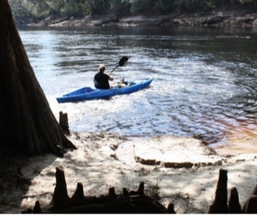 Image : Suwannee River State Park