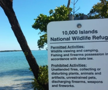 Image : Ten Thousand Islands National Wildlife Refuge