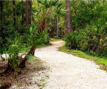 Image : The Calusa Nature Center & Planetarium