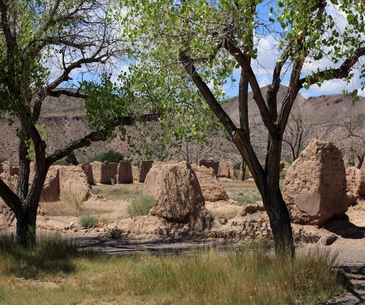Image : Fort Selden Historic Site