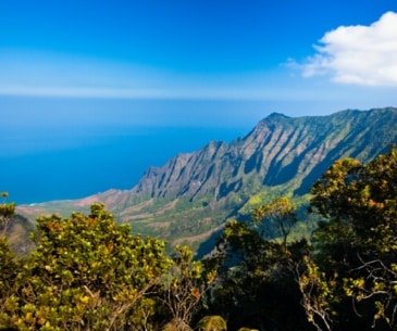 Image : Kokee State Park