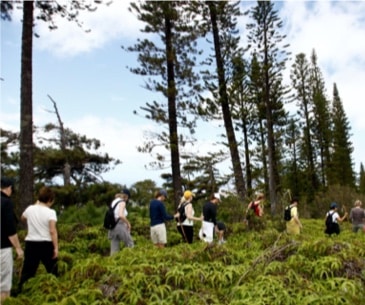 Image : Munro Trail