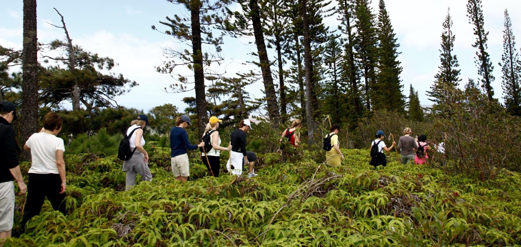 Hawaii-Munro-Trail