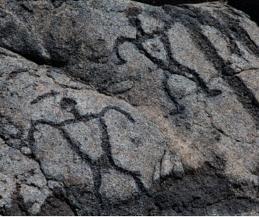 Image : Puako Petroglyph Archaeological Preserve